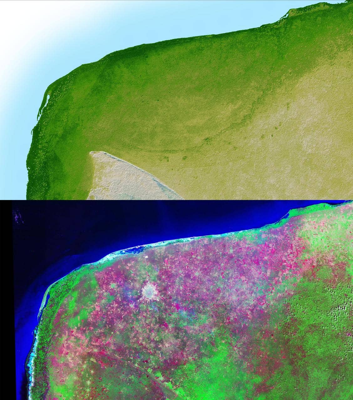 Mappa in rilievo dello Yucatán con la cicatrice semicircolare del cratere di Chicxulub: 180 km di diametro