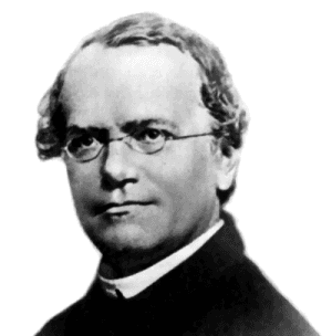 Ritratto di Gregor Mendel, frate agostiniano e padre della genetica