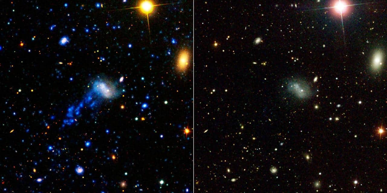 Galassia che perde gas formando una lunga scia, immagine NASA