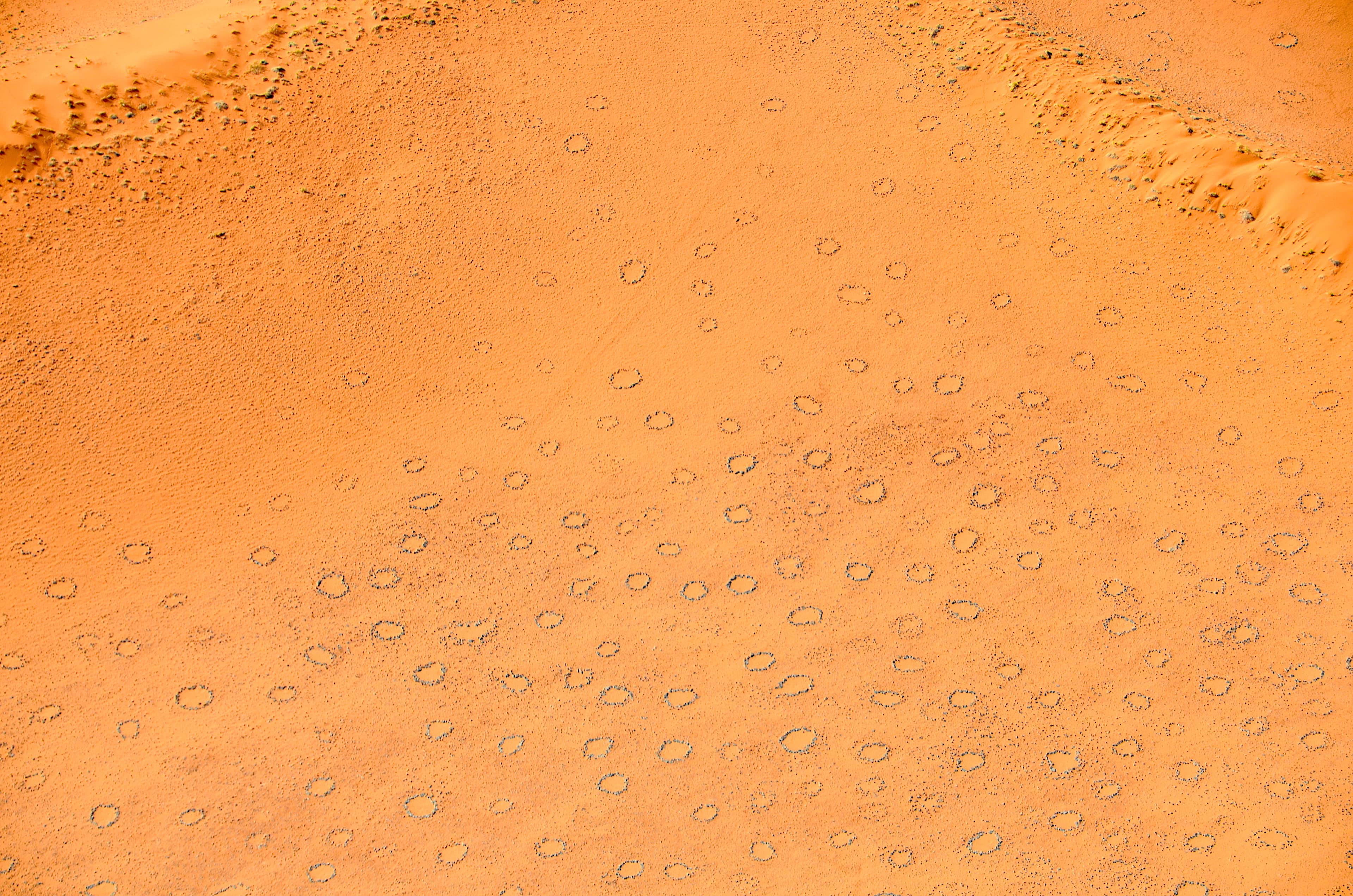 Veduta aerea dei cerchi delle fate nel deserto del Namib in Namibia