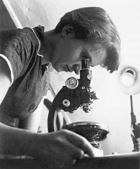 Ritratto della chimica e cristallografa britannica Rosalind Franklin